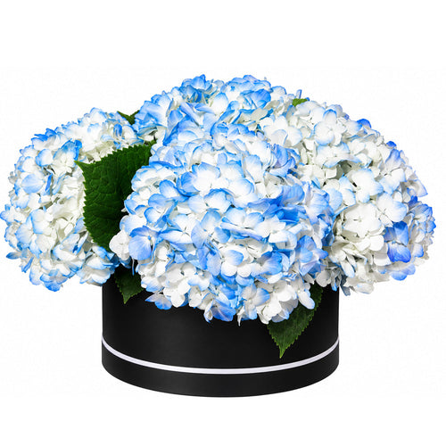Blue and White Hydrangea Hatbox