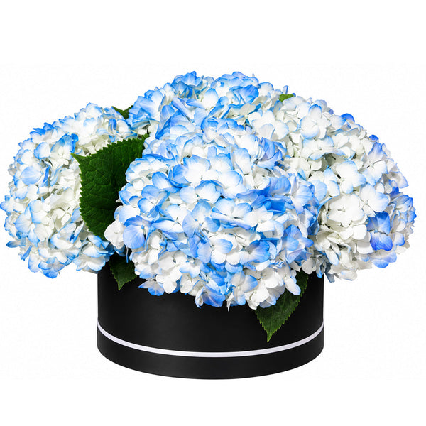 Blue and White Hydrangea Hatbox